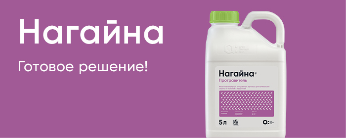 Нагайна