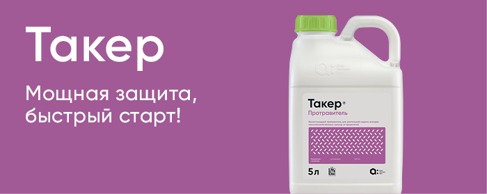Такер