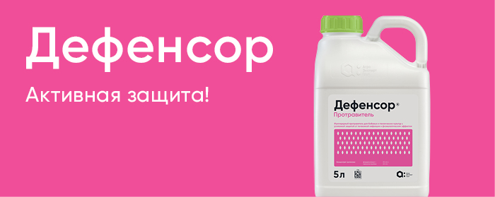 Кайен турбо